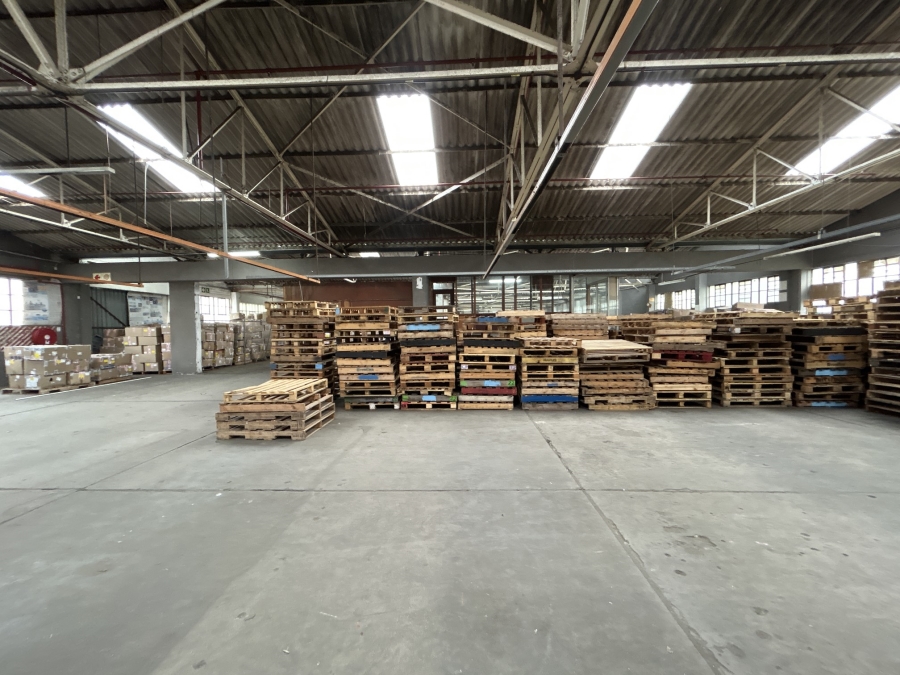 To Let Commercial Property for Rent in Epping Industrial Western Cape